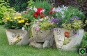 thn_kvetiny (12).jpg